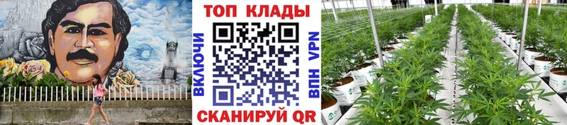 Купить наркотики цена Сергач Каннабис  COCAIN  Alpha-PVP  МЕФ 