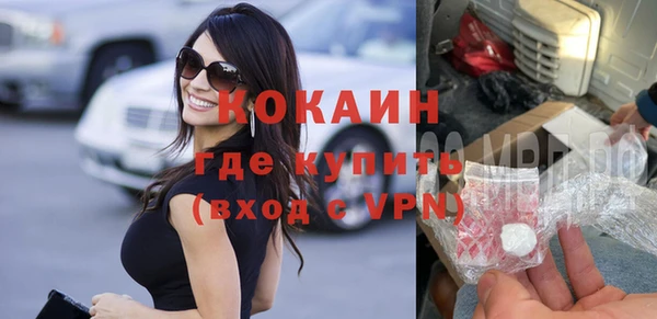 ГАЛЛЮЦИНОГЕННЫЕ ГРИБЫ Каменка