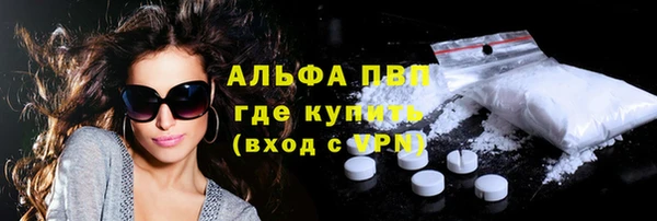 гашик Вязьма